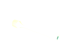 torque stick